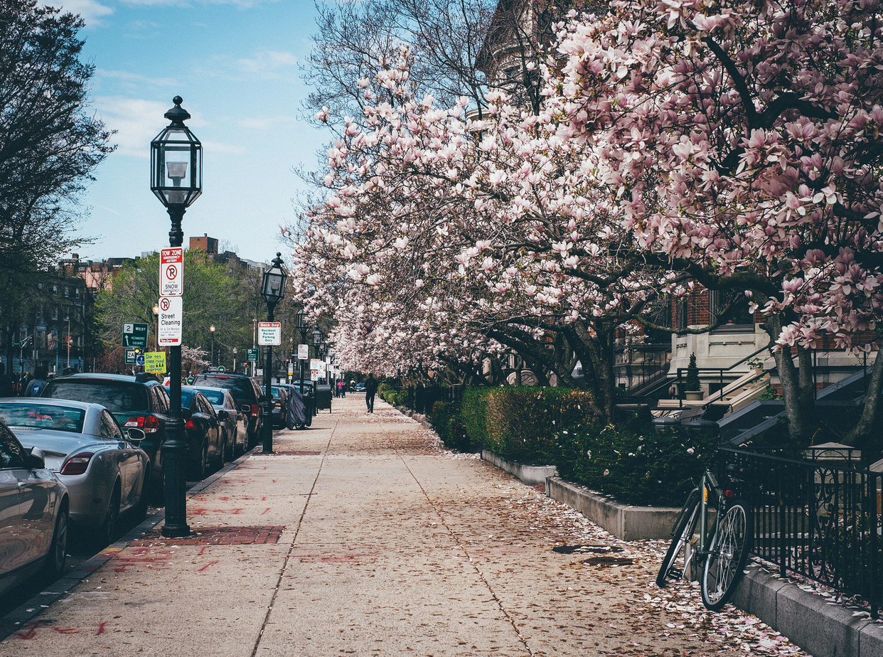 Boston Springtime