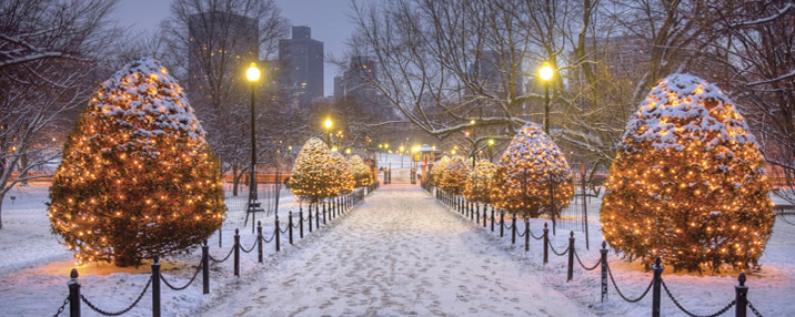 boston garden christmas