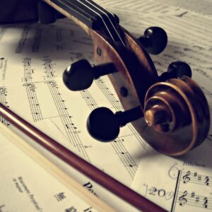 musical instrument - violin